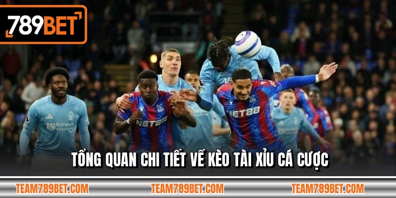 Tổng quan chi tiết về kèo tài xỉu cá cược