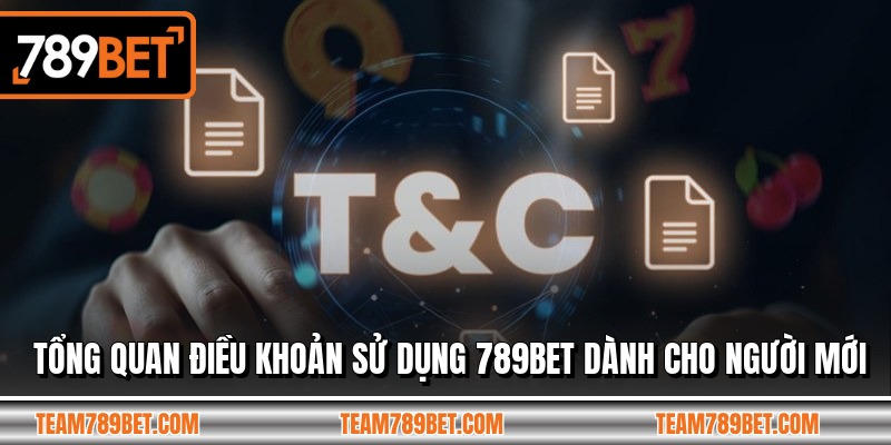 Tổng quan điều khoản sử dụng 789BET dành cho người mới